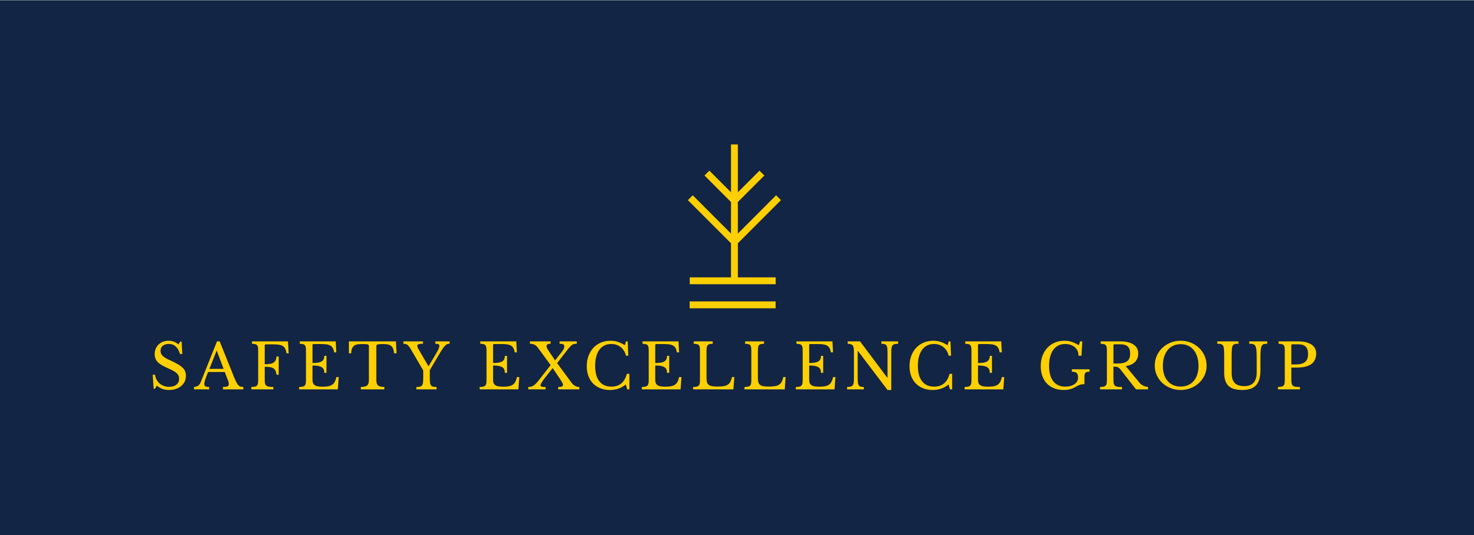 Safety Excellence Group